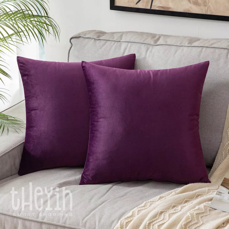 2pc Premium Velvet Cushion Covers for Sofa Bedroom Livingroom 18x18 Inch 45x45cm