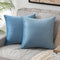 Pack of 2 Velvet Soft Square Throw Pillow Case Cushion Covers Luxury Pillowcases for Sofa Bedroom Livingroom 18x18 Inch 45x45cm