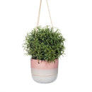 Premium Quality Mojave Glaze Green Hanging Planter