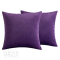 Pack of 2 Velvet Soft Square Throw Pillow Case Cushion Covers Luxury Pillowcases for Sofa Bedroom Livingroom 18x18 Inch 45x45cm