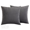 Pack of 2 Velvet Soft Square Throw Pillow Case Cushion Covers Luxury Pillowcases for Sofa Bedroom Livingroom 18x18 Inch 45x45cm