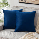 Pack of 2 Velvet Soft Square Throw Pillow Case Cushion Covers Luxury Pillowcases for Sofa Bedroom Livingroom 18x18 Inch 45x45cm