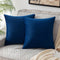 Pack of 2 Velvet Soft Square Throw Pillow Case Cushion Covers Luxury Pillowcases for Sofa Bedroom Livingroom 18x18 Inch 45x45cm