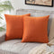 Pack of 2 Velvet Soft Square Throw Pillow Case Cushion Covers Luxury Pillowcases for Sofa Bedroom Livingroom 18x18 Inch 45x45cm