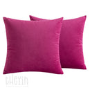 Pack of 2 Velvet Soft Square Throw Pillow Case Cushion Covers Luxury Pillowcases for Sofa Bedroom Livingroom 18x18 Inch 45x45cm