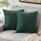 Pack of 2 Velvet Soft Square Throw Pillow Case Cushion Covers Luxury Pillowcases for Sofa Bedroom Livingroom 18x18 Inch 45x45cm