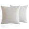 Pack of 2 Velvet Soft Square Throw Pillow Case Cushion Covers Luxury Pillowcases for Sofa Bedroom Livingroom 18x18 Inch 45x45cm