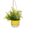 Premium Quality Mojave Glaze Green Hanging Planter