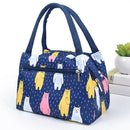 Insulated Lunch Bag Adult Kids Lady Lunch Bag Reusable School Food Bag Waterproof Bags